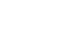 chameleon logo